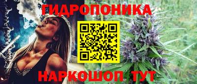 ГАЛЛЮЦИНОГЕННЫЕ ГРИБЫ Будённовск